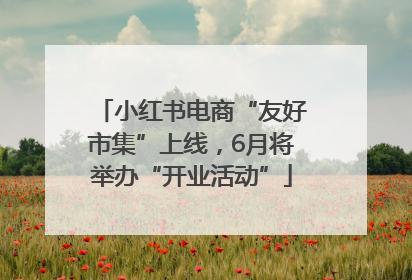 小红书电商“友好市集”上线，6月将举办“开业活动”