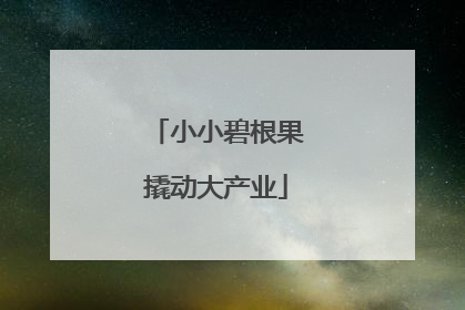 小小碧根果撬动大产业