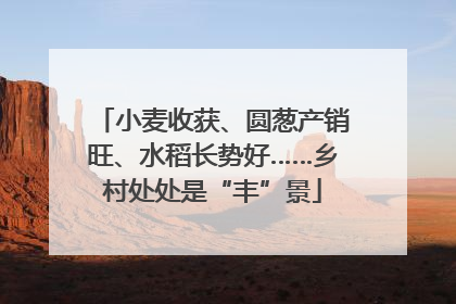 小麦收获、圆葱产销旺、水稻长势好……乡村处处是“丰”景