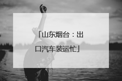 山东烟台：出口汽车装运忙