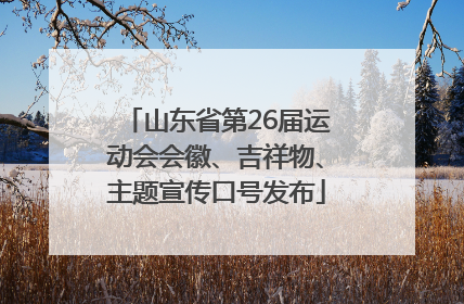 山东省第26届运动会会徽、吉祥物、主题宣传口号发布