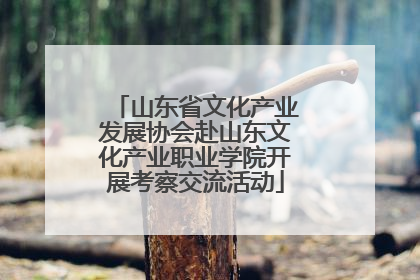 山东省文化产业发展协会赴山东文化产业职业学院开展考察交流活动
