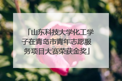 山东科技大学化工学子在青岛市青年志愿服务项目大赛荣获金奖