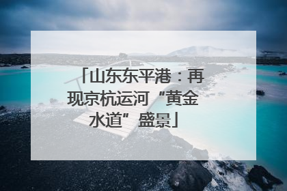 山东东平港：再现京杭运河“黄金水道”盛景