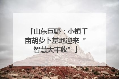 山东巨野：小镇千亩胡萝卜基地迎来“智慧大丰收”