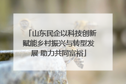 山东民企以科技创新赋能乡村振兴与转型发展 助力共同富裕