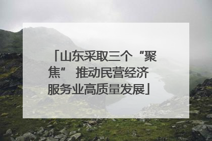 山东采取三个“聚焦” 推动民营经济服务业高质量发展