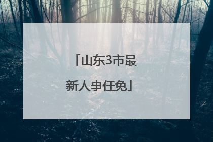 山东3市最新人事任免