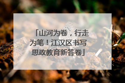 山河为卷，行走为笔！江汉区书写思政教育新答卷