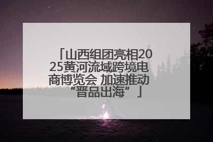 山西组团亮相2025黄河流域跨境电商博览会 加速推动“晋品出海”