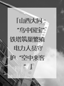 山西大同：“鸟中国宝”铁塔筑巢繁殖 电力人员守护“空中来客”