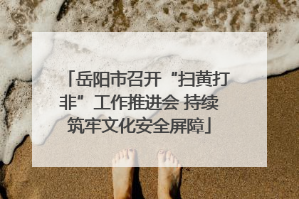 岳阳市召开“扫黄打非”工作推进会 持续筑牢文化安全屏障