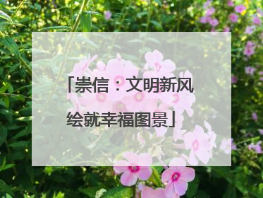崇信：文明新风绘就幸福图景