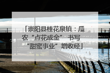 崇阳县桂花泉镇：瓜农“点花成金” 书写“甜蜜事业”增收经