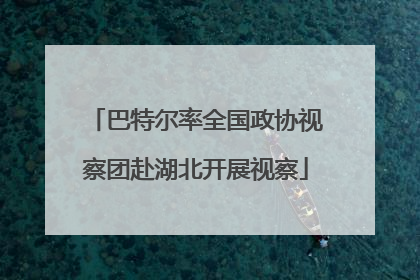 巴特尔率全国政协视察团赴湖北开展视察