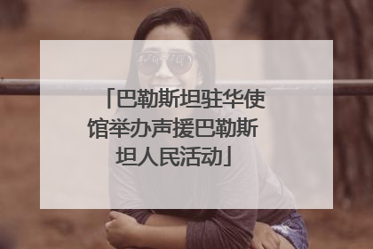 巴勒斯坦驻华使馆举办声援巴勒斯坦人民活动