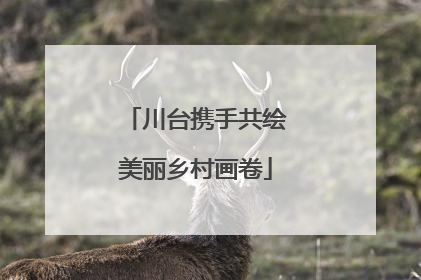 川台携手共绘美丽乡村画卷