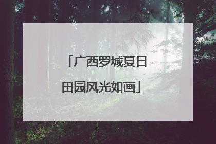 广西罗城夏日田园风光如画
