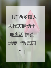 广西乡镇人大代表推动土地盘活 撂荒地变“致富园”