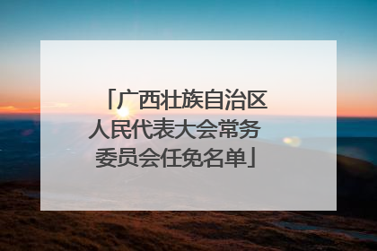 广西壮族自治区人民代表大会常务委员会任免名单