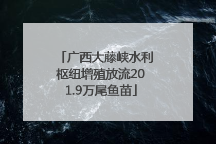 广西大藤峡水利枢纽增殖放流201.9万尾鱼苗