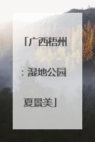 广西梧州：湿地公园夏景美