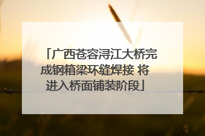 广西苍容浔江大桥完成钢箱梁环缝焊接 将进入桥面铺装阶段
