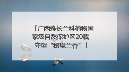 广西雅长兰科植物国家级自然保护区20载守望“秘境兰香”