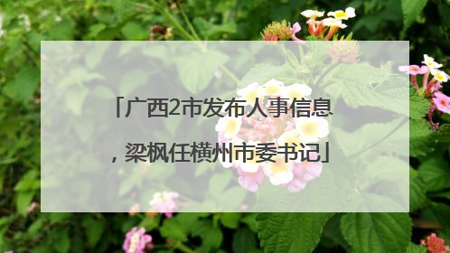 广西2市发布人事信息，梁枫任横州市委书记