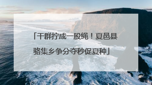 干群拧成一股绳！夏邑县骆集乡争分夺秒促夏种