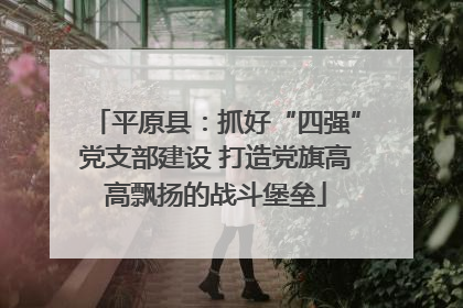 平原县：抓好“四强”党支部建设 打造党旗高高飘扬的战斗堡垒