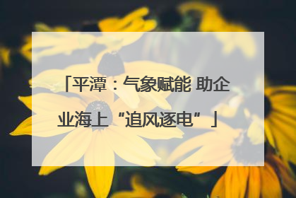 平潭：气象赋能 助企业海上“追风逐电”