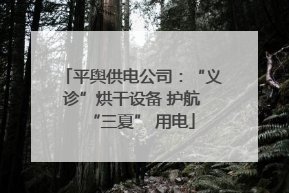 平舆供电公司：“义诊”烘干设备 护航 “三夏” 用电