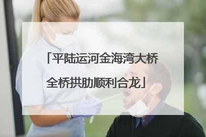 平陆运河金海湾大桥全桥拱肋顺利合龙