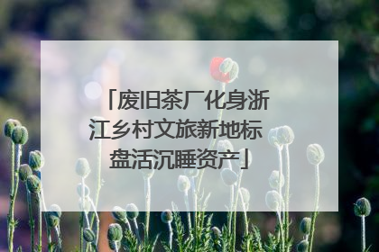 废旧茶厂化身浙江乡村文旅新地标 盘活沉睡资产