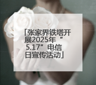 张家界铁塔开展2025年“5.17”电信日宣传活动