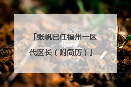 张帆已任福州一区代区长（附简历）