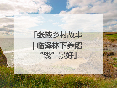 张掖乡村故事｜临泽林下养鹅“钱”景好