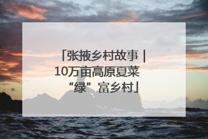 张掖乡村故事｜10万亩高原夏菜“绿”富乡村