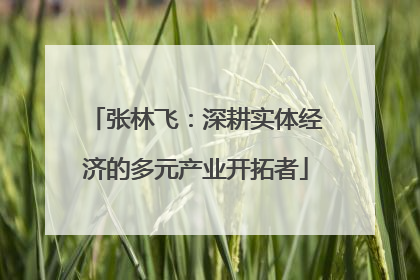 张林飞：深耕实体经济的多元产业开拓者