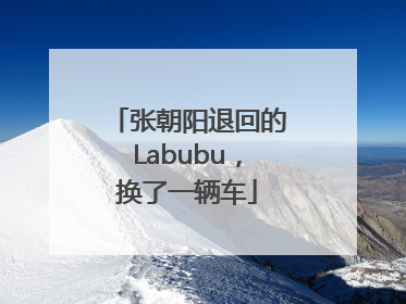张朝阳退回的Labubu，换了一辆车