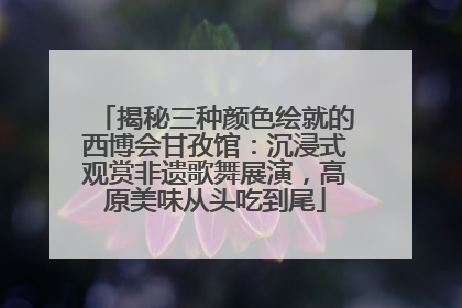 揭秘三种颜色绘就的西博会甘孜馆：沉浸式观赏非遗歌舞展演，高原美味从头吃到尾