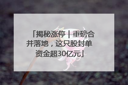 揭秘涨停｜重磅合并落地，这只股封单资金超30亿元