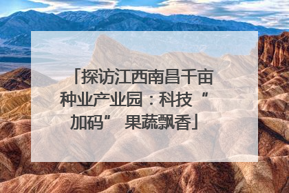 探访江西南昌千亩种业产业园：科技“加码” 果蔬飘香