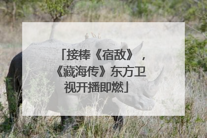 接棒《宿敌》，《藏海传》东方卫视开播即燃