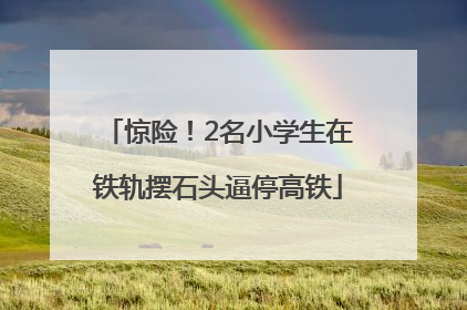惊险！2名小学生在铁轨摆石头逼停高铁