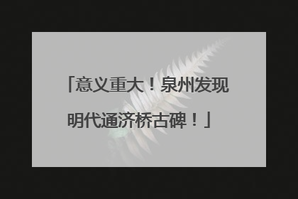意义重大！泉州发现明代通济桥古碑！