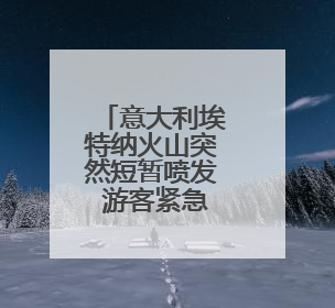 意大利埃特纳火山突然短暂喷发 游客紧急撤离