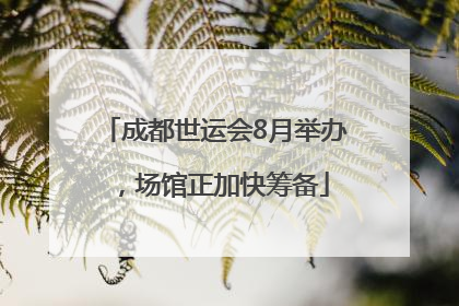 成都世运会8月举办，场馆正加快筹备