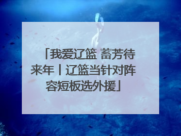我爱辽篮 蓄芳待来年丨辽篮当针对阵容短板选外援